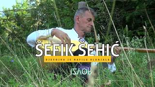 Šefik Šehić - Djevojka je nafilu klanjala - (Uživo 2019)