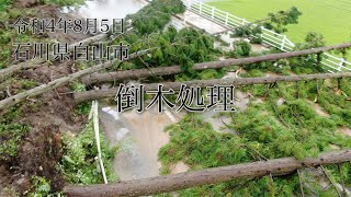 令和4年8月5日倒木処理【豪雨】〜石川県白山市〜