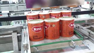 全自動裝箱系統Full Auto Carton Loading Packing System