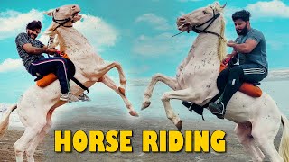 Horse Riding Like Ertugrul | Mishkat khan (The Fun Fin) | Comedy Adventurous Vlog | Turgut Bamsi