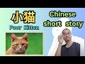 中文短篇故事 04 | 小猫 | 听故事学中文 | Chinese short story