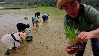 Thien continued to go to school. Dinh-Phau continued his daily life.