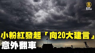 小粉紅發起「向20大建言」意外翻車｜@ChinaBreakingNewsTV ｜20220703