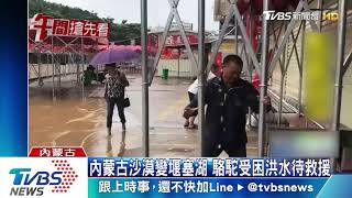 內蒙古沙漠變堰塞湖　駱駝受困洪水待救援