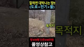 (도로+전기+물) 땅 619평 단돈 510만원으로 잘 하면 대박나는 땅!!