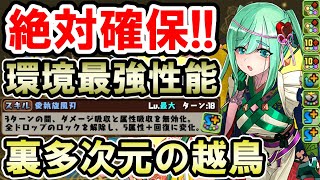 【裏多次元の越鳥】絶対に確保すべき!! 木バレンタインアキネがさらに強化されて無敵に!! アルジェキティのサブで裏多次元攻略!!【バレンタインイベント】【パズドラ】