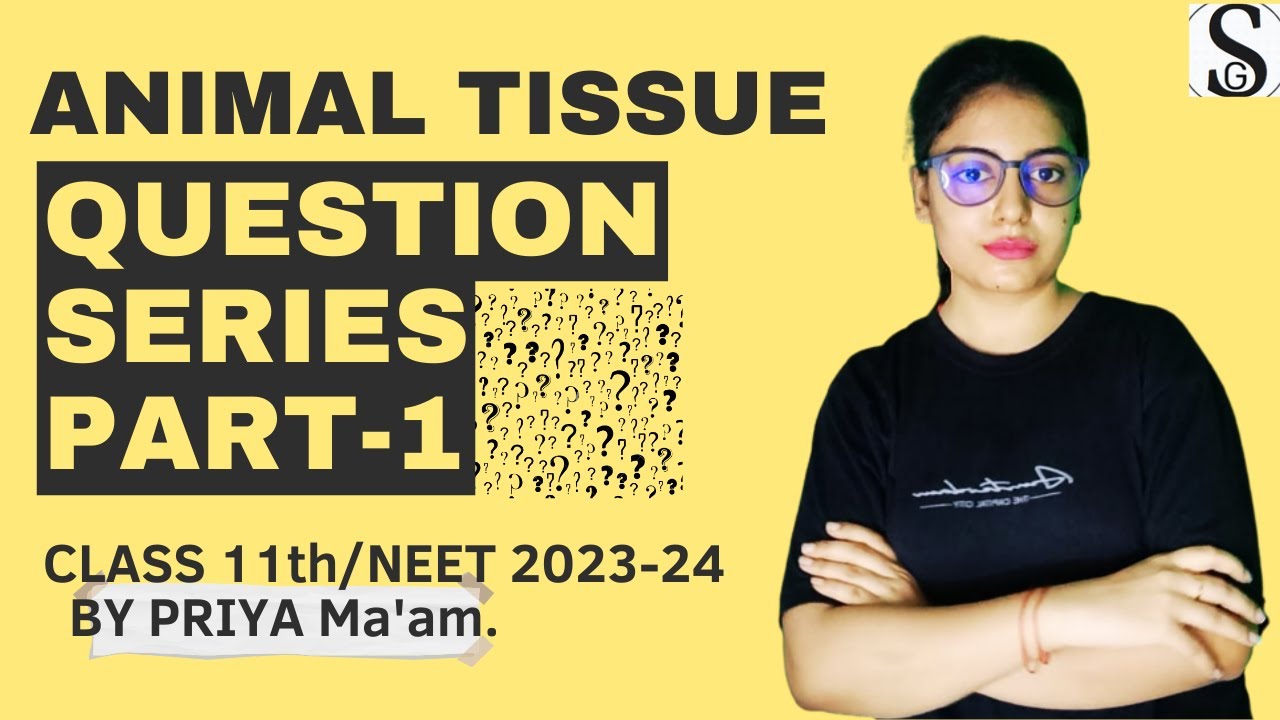 ANIMAL TISSUE CLASS 11/NEET 2024-25 QUESTION SERIES PART-1 ...