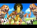 10 Monster Lion vs 10 Cow vs 10 Giant Tiger Wolf Attack Cow Cartoon Buffalo Saved By Giant Gorilla