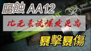 AA12腐蝕 暴擊爆傷流【七日世界】