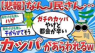 【2ch面白いスレ】【悲報】なんJに本物のカッパあらわるwww【ゆっくり解説】