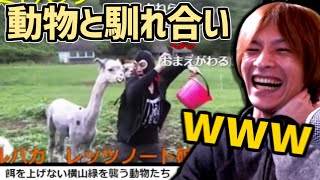 動物に襲われる横山緑を見るおおえのたかゆき【2023/05/25】