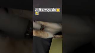 ඒ වරෙන්කො වැඩක් පෙන්නන්න🤣🤣subscribe channel #funnyvideo #viralvideo #trendingshorts