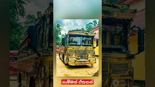 Manik kate bus | මැණික් කැටේ නම්😃 ගැම්මක් තමා Sri Lanka #srilanka #2024 #trending #busnonstop #truck