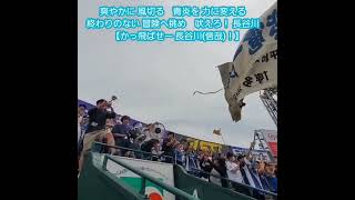 20240608　覚えようぜ！吼えろ【長谷川信哉 応援歌】埼玉西武ﾗｲｵﾝｽﾞ　試合前　#shorts@阪神甲子園球場･ﾚﾌﾄ外野 日本生命ｾ･ﾊﾟ交流戦