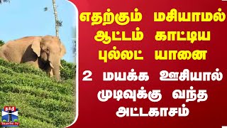 எதற்கும் மசியாமல் ஆட்டம் காட்டிய புல்லட் யானை.. 2 மயக்க ஊசியால் முடிவுக்கு வந்த அட்டகாசம் | Nilgiri