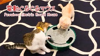 令和記念【新しい猫のおもちゃ】電動ぐるぐるマウス Pawaboo Electric Round Mouse