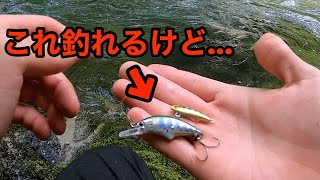 【渓流ルアー】斬新なルアーで釣れるのかやってみた