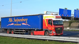 4K trucks, highway A16, Netherlands, 31 OCT 2019