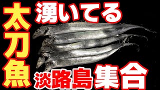 淡路島の堤防でタチウオ爆釣 ショアジギングで青物狙い（引き釣りテンヤ・ルアー編）