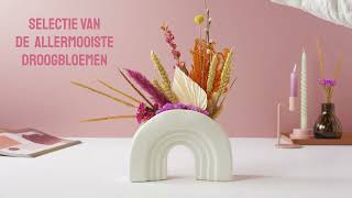 BloomPost brievenbus cadeau | BloomPosy droogbloemen | Uniek \u0026 duurzaam