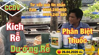 🔴 CCDV # 044: Phân Biệt Thuốc Kích Rễ Và Dưỡng Rễ ||CCDV. 18.05.2020