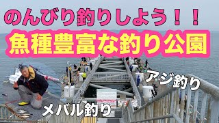 【とっとパーク小島】のんびりアジ釣り、メバル釣りで釣り公園を満喫な1日‼️