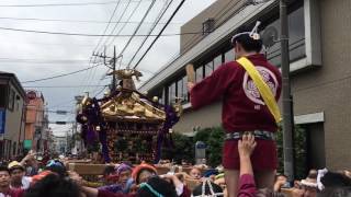 平成29年 東京都 大田区 六郷 六郷神社 例大祭 本社神輿渡御③