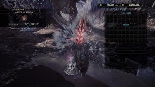 [MHWI/PS5]歴戦王イヴェルカーナ　大剣　TAwiki 5分56秒