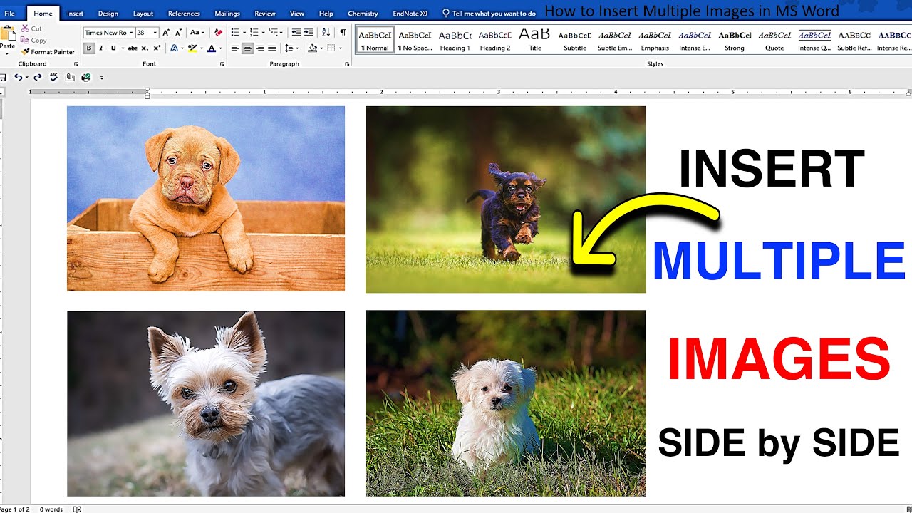 How To Select Multiple Pictures In Microsoft Word Printable Online How To Select Multiple Pictures In Microsoft Word Printable Online