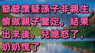 爺爺懷疑孫子非親生，偷做親子鑒定，結果出來兒媳怒了奶奶慌了 | 平凡人生