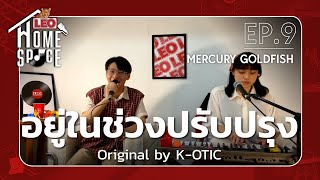 อยู่ในช่วงปรับปรุง - MERCURY GOLDFISH | LEO Home Space | Original by K-OTIC