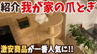 【紹介】我が家の爪とぎ☆【猫の一番人気】は激安商品だった！？