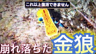 [MHXX実況]正直見なくていいやつww 天彗龍より姉御が怖いぜぃ！