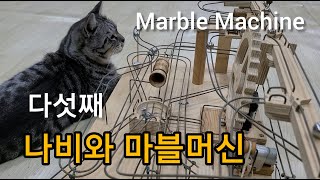 나비와마블머신5 Marble Machine 고양이와 구슬기계