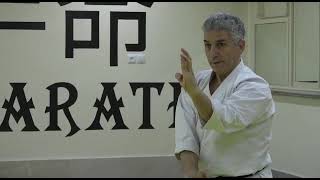 ‌Bassai sho - Mohammad Bahrami - Karate - Kata - Shotokan | محمد بهرامی - کاراته - کاتا - باسای شو