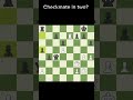 Checkmate? In Two?                            #chess #chessproblems