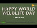 World Wildlife Day 2022 | Recovering key species for ecosystem restoration | See Positive | 3 March