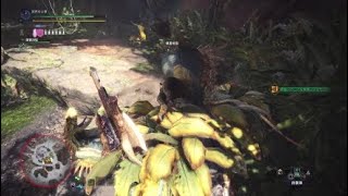 [MHW]カスタム強化回復能力付与 滅尽龍の飢餓 回復能力検証