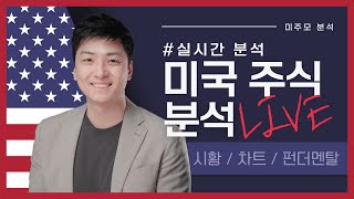 [미국주식] - 오랫만에 빅테크 주식 크게 하락 - 최근 하락에 대한 의견은? 특징주(TSLA, NVDA, META, CHTR, CCL, NCLH, UNG, UBER, PYPL)