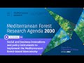 Webinar #4: Social and business innovations & policy tools for the Mediterranean forest bioeconomy