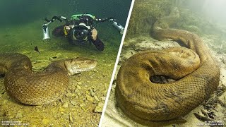 テスラバルブ 完全物理学 テスラバルブ 完全物理学