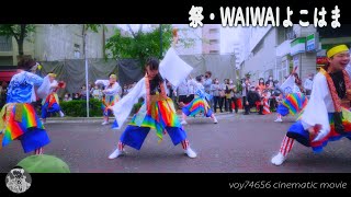 【シネスコ】祭・WAIWAIよこはま／第七回横浜よさこい祭り〜良い世さ来い