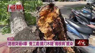 台中路樹突然倒塌！ 4車遭砸「被波及」幸無人傷