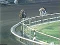 spectacular bid 1980 san fernando stakes