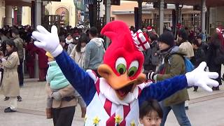 USJ 朝のキャラクターグリーティング 12/29