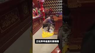 募捐箱的钱#搞笑 #搞笑影片 #搞笑配音 #搞笑视频 #搞笑配音