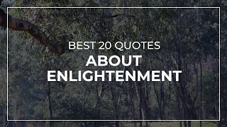 Best 20 Quotes about Enlightenment | Daily Quotes | Beautiful Quotes | Quotes for Pictures