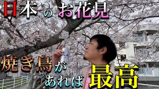 【お花見】の季節です。日本の桜は最高です。【焼き鳥】はいかがでしょうか！