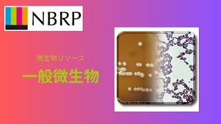 Introduction of NBRP-Genaral Microbes