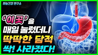 이곳을 누르면 딱딱한 담적, 식적 싹! 사라진다! 만성위장병 해결 방법!